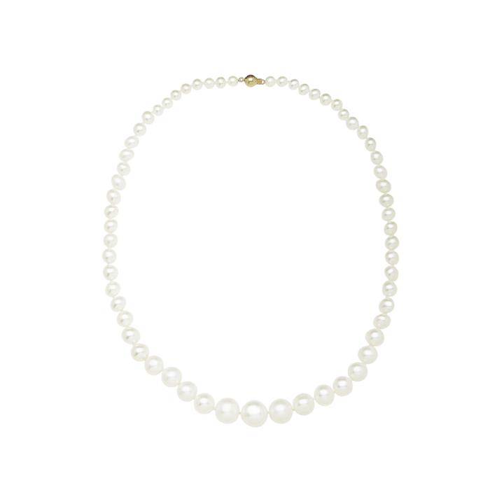 Cultured Freshwater Pearl 14k Yellow Gold Necklace