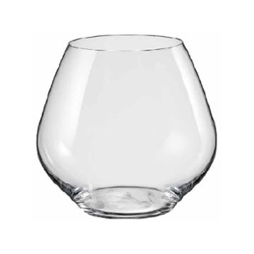 Red Vanilla 6-pc. Wine Glass