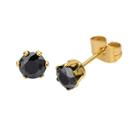 Black Cubic Zirconia 5mm Stainless Steel And Yellow Ip Stud Earrings
