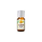 Healing Solutions Helichrysum Essential Oil
