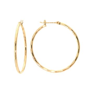 Silver Reflections Brass Hoop Earrings
