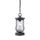 Farmstead 1-light Outdoor Pendant In Matte Black