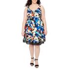 Donna Ricco Sleeveless Lace Bottom Floral Print Fit & Flare Dress - Plus