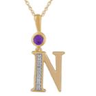 N Womens Genuine Purple Amethyst 14k Gold Over Silver Pendant Necklace