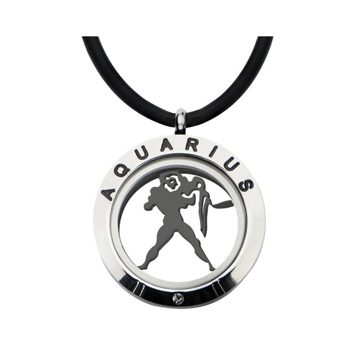 Aquarius Zodiac Reversible Stainless Steel Locket Pendant Necklace