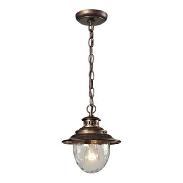 Searsport 1-light Outdoor Pendant In Regal Bronze