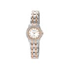 Armitron Now Womens Crystal-accent Two-tone Stainless Steel Watch