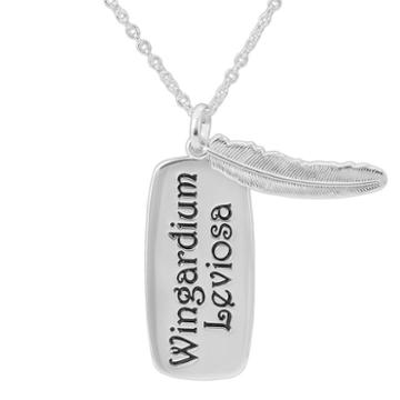 Warner Brothers Harry Potter Brass Pendant