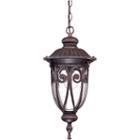 Filament Design 1-light Burlwood Outdoor Hanging Lantern