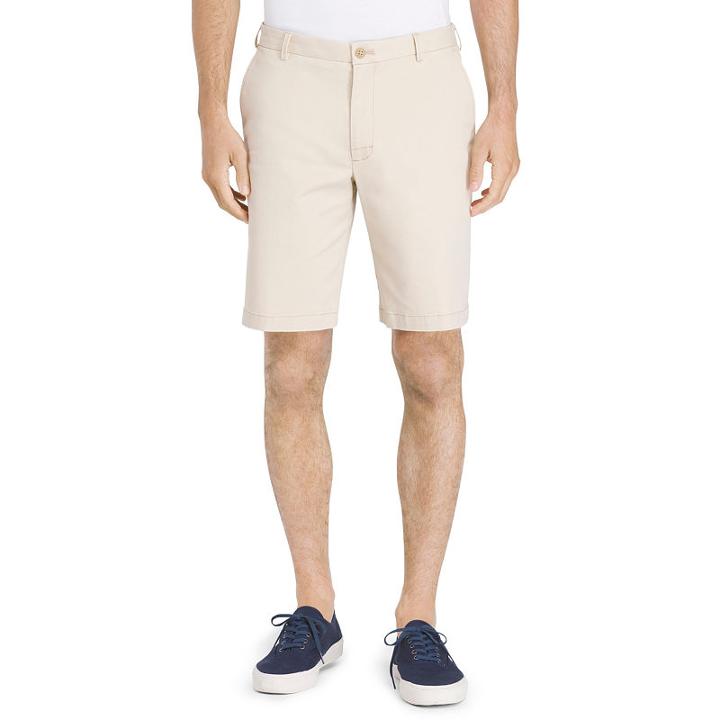 Izod Saltwater Stretch Flat Front Chino Shorts