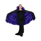 Purple & Black Reversible Cape Adult Plus