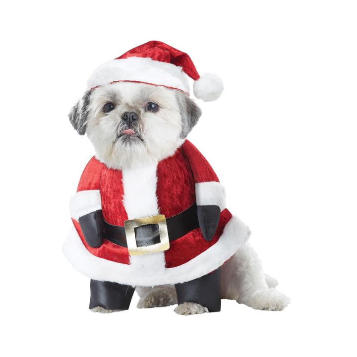 Buyseasons Santa Paws Unisex 2-pc. Dress Up Accessory