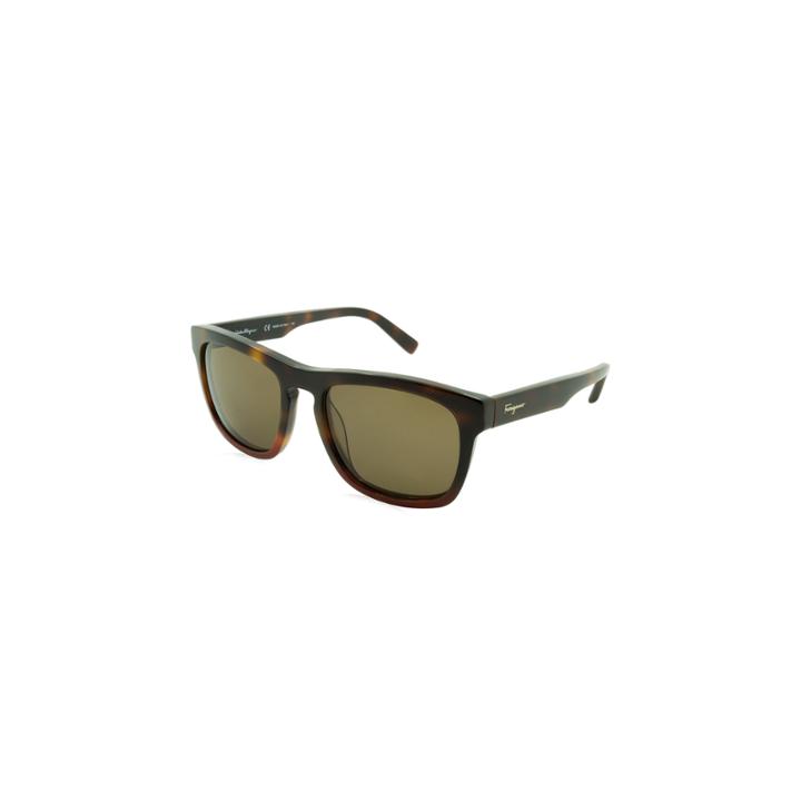 Ferragamo Sunglasses - Sf789s