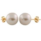 White Pearl 10mm Stud Earrings
