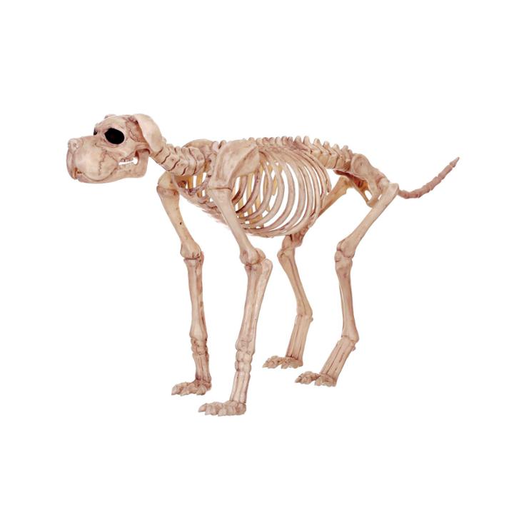 Large Skeleton Dog