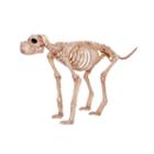 Large Skeleton Dog