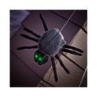 Dropping Down Spider
