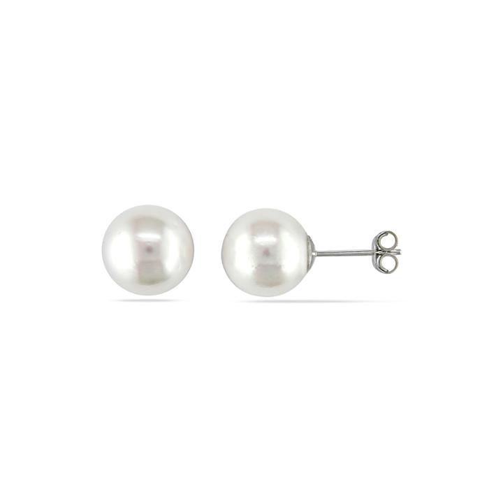 Genuine South Sea Pearl 14k White Gold Earrings
