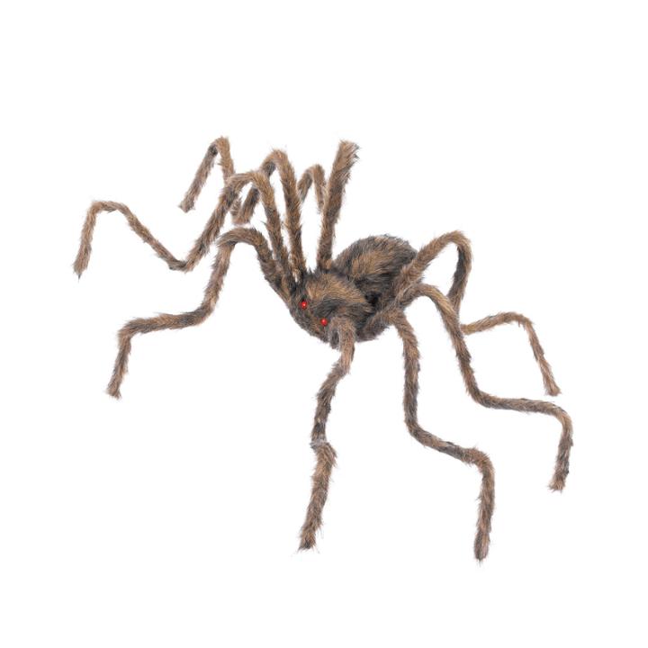 Brown Spider 50