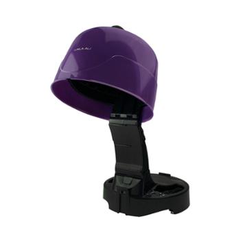 Laila Ali Salon Ionic Hair Dryer