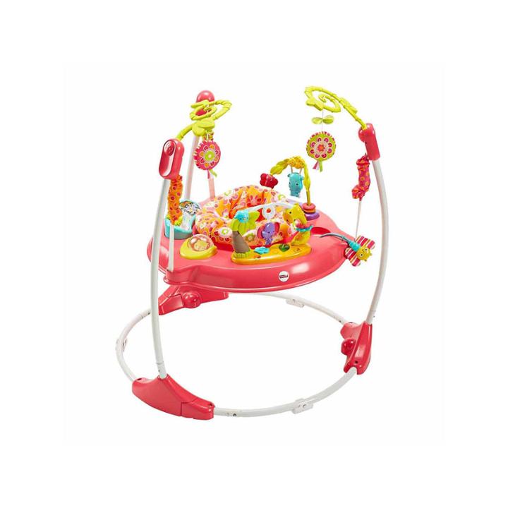 Fisher Price Pink Petals Jumperoo