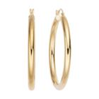 Gold Opulence 14k Gold Over Diamond Resin Polishedhoop Earrings