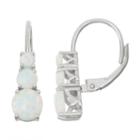 Lab-created Opal Sterling Silver Leverback Earrings
