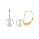 Cultured Freshwater Button Pearl 10k Yellow Gold Earrings