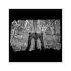 Los Angelespopular Brooklyn Neighborhood Short Sleeve Graphic T-shirt