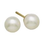 Certified Sofia&trade; 14k Gold Cultured 5mm Freshwater Pearl Stud Earrings