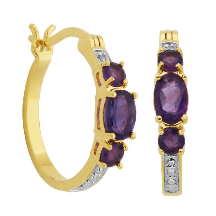 Sparkle Allure Multi Color Hoop Earrings