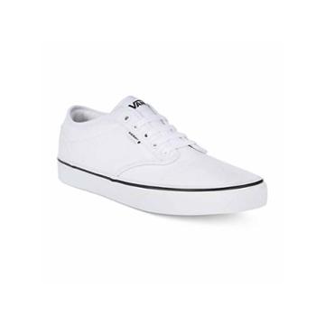 Vans Footwear Mens Skate Shoes