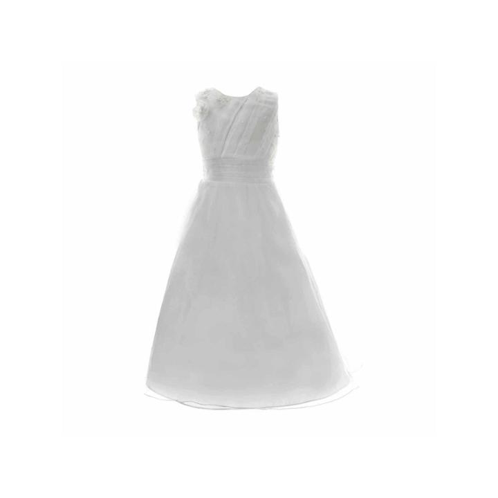 Keepsake Sleeveless Pleated Bodice Floral Applique A-line Dress Plus