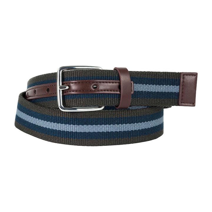 Stripe Belt