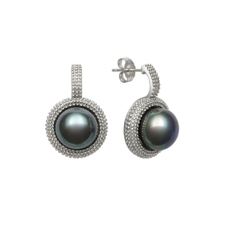 Sterling Silver Dyed Black Cultured Freshwater Pearl Earrings