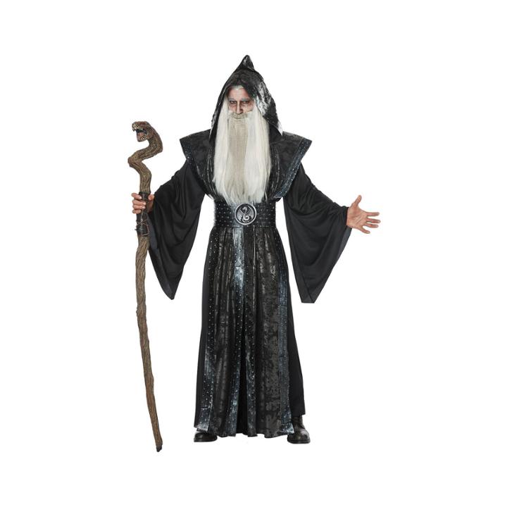 Dark Wizard Adult Costume