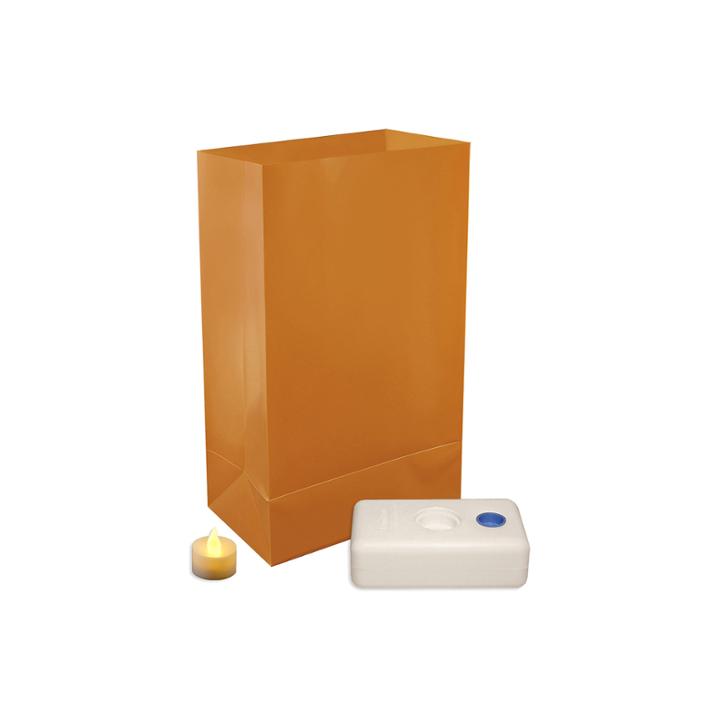 Battery Operated Luminaria Kit- Southwest Set Of12