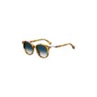 Fendi Sunglasses Ff0231/s / Frame: Havana Lens: Dark Blue Gradient