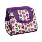 Fit & Fresh Riley Chiller Lunch Bag