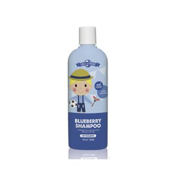 Circle Of Friends Hans Blueberry Shampoo - 10 Oz.