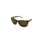 Polo Ralph Lauren Sunglasses - Ph4066 / Frame: Tortoise Lens: Brown