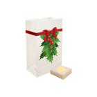 Battery Operated Luminaria Kit With Timer- Set Of6