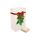 Battery Operated Luminaria Kit With Timer- Set Of6