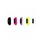 B-fit Womens Activity Tracker & 5pc. Interchangeable Band Set-bfs2356bk659-078