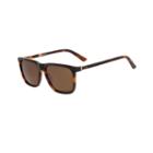 Calvin Klein Sunglasses Ck8502s / Frame: Tortoiselens: Brown