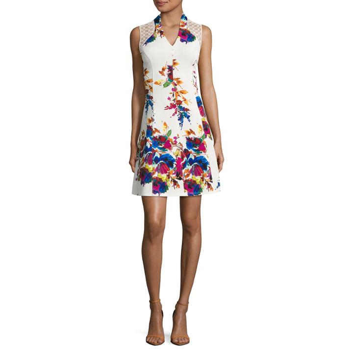 Spense Sleeveless Floral Fit & Flare Dress