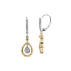 1/4 Ct. T.w. Diamond 14k Two-tone Gold Drop Earrings