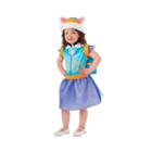 Paw Patrol: Everest Classic Child Costume - Small