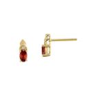 Genuine Red Garnet Diamond-accent 14k Yellow Gold Earrings