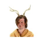 Deer Antlers